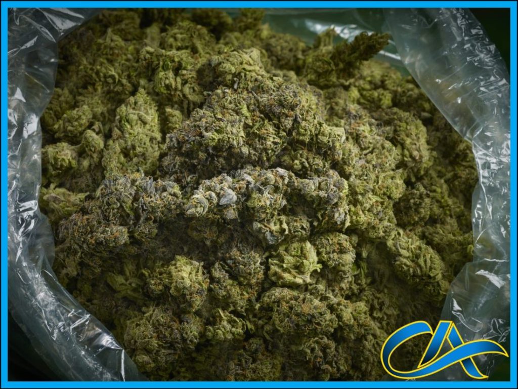 bag of marijuana
